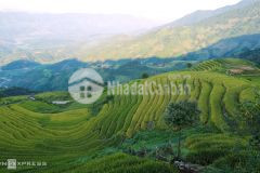 Đất nền nghỉ dưỡng y tý sapa 2 đón đầu sóng quy hoạch giá cực net