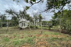 Bán gấp lô đất bản vặt, mường sang, mộc châu 6200m2