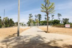 Đất phân lô nguyễn viết xuân thủy phương giá đầu tư