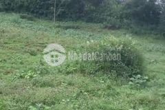 Bán đất y tý sapa 2 gần trung tâm hành chính huyện view xuất sắc