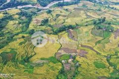 Bán gấp lô đất 2 mặt tiền đối diện khu đô thị mới phìn hồ y tý lào cai