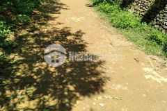 Chỉ 200tr 1,4ha đất sinh thái view toàn cảnh thị trân, núi đồi tại kim bôi, hoà bình