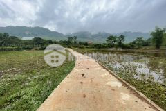 Chủ nhà cần tiền bán gấp lô 5444m2 tại mộc châu