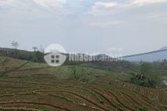 Bán mảnh đất có sổ hồng view ruộng bậc thang phù hợp xây khách sạn ở sapa 2 y tý