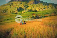 Bán 6800m2 đất đồi có 200m2 thổ cư tiểu khu 64, tt nông trường, mộc châu giá rẻ