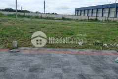 Đất nền, sổ hồng trao tay, nhận ngay 5 chỉ vàng sjc.