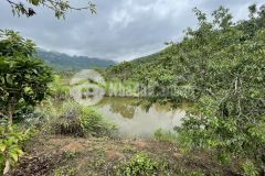 Đất nền mộc châu khu du lịch quốc gia, đầu tư tốt, thanh khoản nhanh