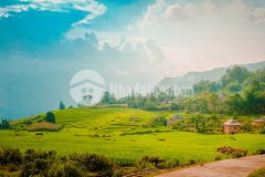 Cắt lỗ 5444m2 lưng tựa núi, mặt bám suối giá nào cũng bán