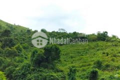 Đất rsx rẻ đẹp nhất cao phong 4,6hecta, giá 300tr ha