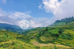 Bán gấp lô đất y tý sapa 2 view ngắm thung lũng ruộng bậc thang và rừng già