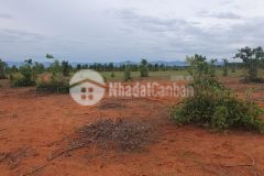 Đất đường đt 716 chỉ950 triệu, đã có sổ đỏ gần kdl bàu trắng, giá cả đầu tư