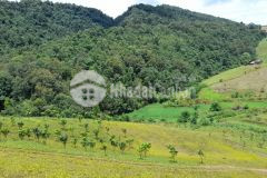 Bán lô đất 10ha phù hợp làm khu nghỉ dưỡng hoặc làm trang tại tại mộc châu