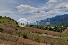 Bán lô đất giá cực rẻ rộng lớn, vew xuất sắc tại mộc châu