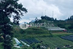 Bán đất phường ô quý hồ thị xã sapa