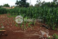 Đất hẻm quốc lộ quốc lộ 14 26 bao rẻ khu vực