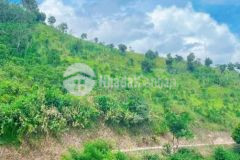 Ban gâp lô đât view săn mây nghi dương xa tram hanh thanh phô đa lat