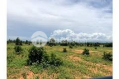 Bán 8000m2 đất liên huyện với giá 1 tỷ đồng