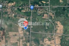 Chính chủ cần tiền bán nhanh lô cam vũ 2 cam thủy