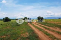 Đất sổ đỏ chính chủ, vuông vức 8000m2, bán giá 998 triệu đồng