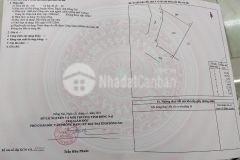 Đất cây lâu năm huyện nhơn trạch, đồng nai. đất chính chủ, giá đầu tư chỉ từ 700tr. lh0909684641.