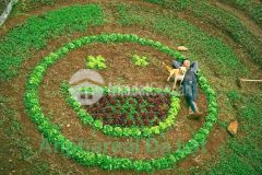 Một sản phẩm nghỉ dưỡng 500m2, shr đất xây dựng dành cho khách hàng yêu đà lạt và vùng ven đà lạt