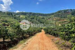 D1021 cần bán đất nông nghiệp xã tà nung tp. đà lạt.