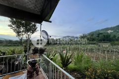 Cắt lỗ mùa dịch lô đất tt mộc châu giá rẻ cho nhà đầu tư