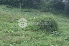 Bán mảnh đất nằm trên vành đai du lịch chính y tý sapa 2,giá đón đầu sóng quy hoạch