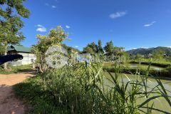 Bán đất nền nghỉ dưỡng mộc châu khu du lịch quốc gia giá hấp dẫn.