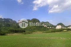 Siêu phẩm đất lạc thủy, hòa bình 8,5ha, giá 8,5 tỷ