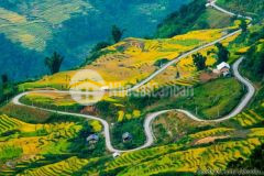 Bán đất y tý sapa2 view thung lũng siêu đẹp tại thôn sín chải