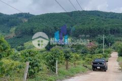 Bán đất xã tà nung tp. đà lạt. diện tích 1002.83 mv 1283.62