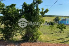 Bán vài lô đất nông nghiệp bình thuận gần liên huyện từ 645tr ck 10 chỉ lh 0938677909 xem sổ