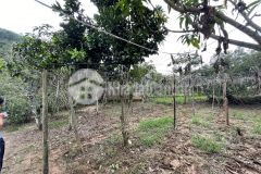 Đất mộc châu vew tuyệt đẹp, giá đầu tư đón quy hoạch cao tốc hb sl.