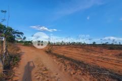 Đât mặt tiên đường lộ giới 6m, hiện hữu, diện tích 9000m2