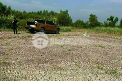 Chính chủ bán1243m2 đất trồng cây lâu năm huyện nhơn trạch. giá 1.5 tỷ 1 công. lh0909684641