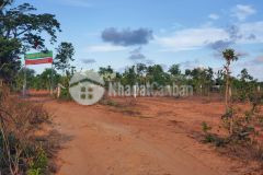 Đất nông nghiệp hồng thái sổ sẵn, bán gia 90km2