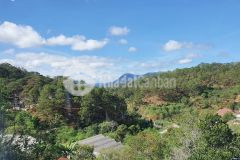 Bán villa 407m2 giá 18tỷ5 ở đà lạt view rừng thông đẹp nhất nhì đà lạt