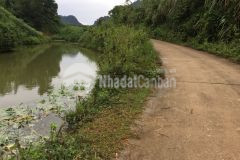 Bán 3961m full vườn, thực tế 5000m view đẹp giá chỉ 599tr cao phong