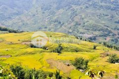 Đất nghỉ dưỡng y tý sapa 2 cơ hội kiếm tiền nhanh cho các nhà đầu tư mùa dịch