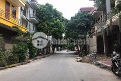 Bán đất mặt phố lê đình vũ, đông nam cường, tp hd, 87.75m2, mt 4.5m, hướng đông nam, giá tốt