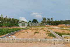 Kdc bến tràm cửa dương phú quốc