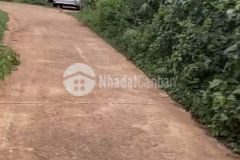 Đất qua chợ đạt lý 1km xã hòa thuận bmt