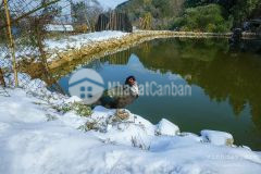 Bán mảnh đất mò phú chải sapa 2 thôn có nhiều tuyết rơi nhiều ở y tý