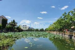 Bán nhà đức diễn, bắc từ liêm. siri mới nhỉnh 3 tỷ, taxi đỗ cửa.