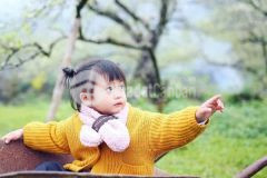 Đất nền mộc châu du lịch bốn mùa giá đầu tư 1trm2