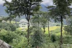 Bán mảnh đất 1300 phan cán xử, view biển mây, ra được sổ luôn, giá đầu tư