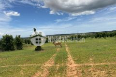 Nông nghiệp diện tích 6000m2 chỉ với 660 triệu gần kênh nước