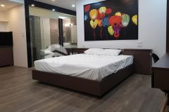 Apartment siêu vip, mt9m, vị trí siêu hót ô tô tránh dt100 trtháng.