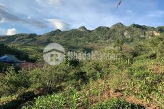 Cơ hội sở hữu ngày lô đất mộc châu giá chỉ 1.xx